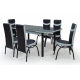 ENSEMBLE TABLE + 6 CHAISES 3093