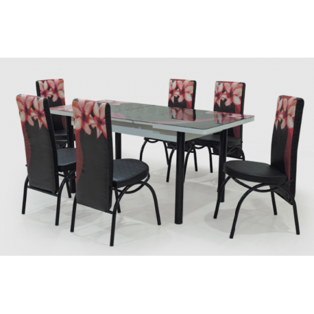 ENSEMBLE TABLE + 6 CHAISES